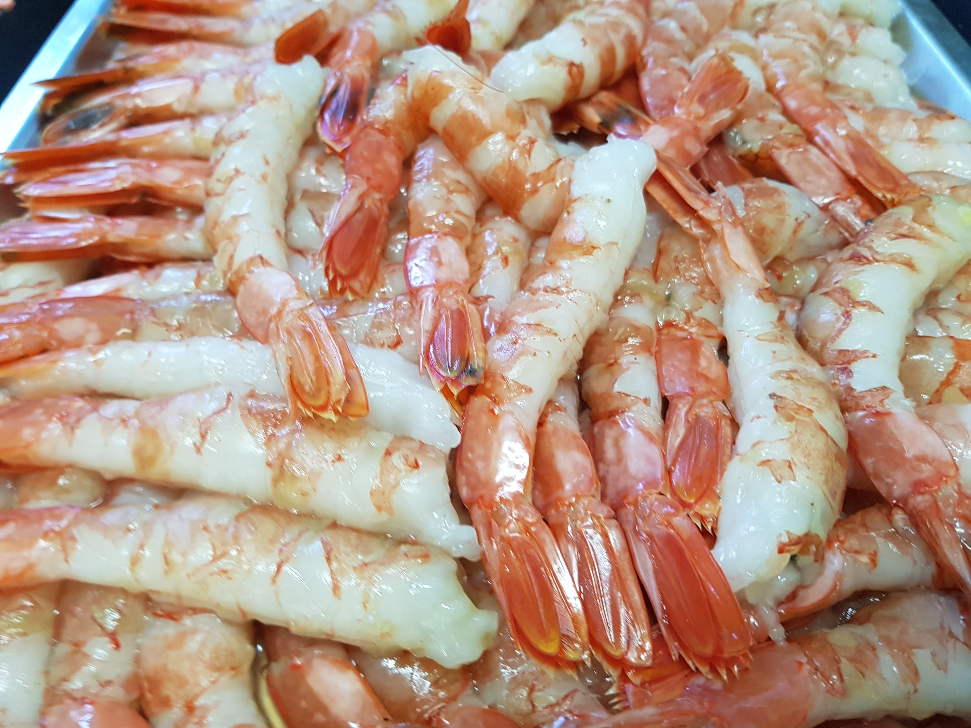Fresh prawns from the Ionian Sea