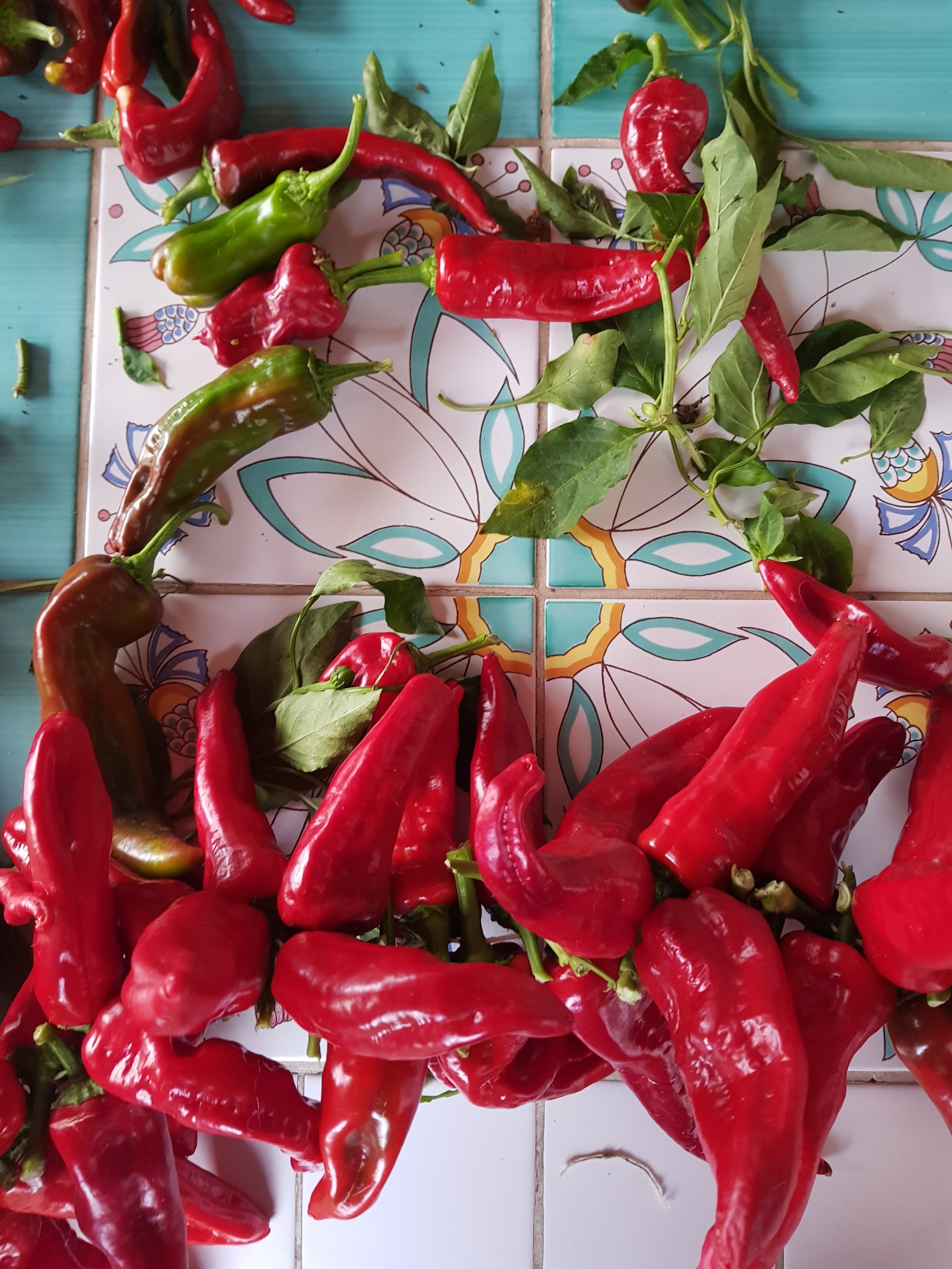 Scenic view of the Calabrian coastline near Rossano
