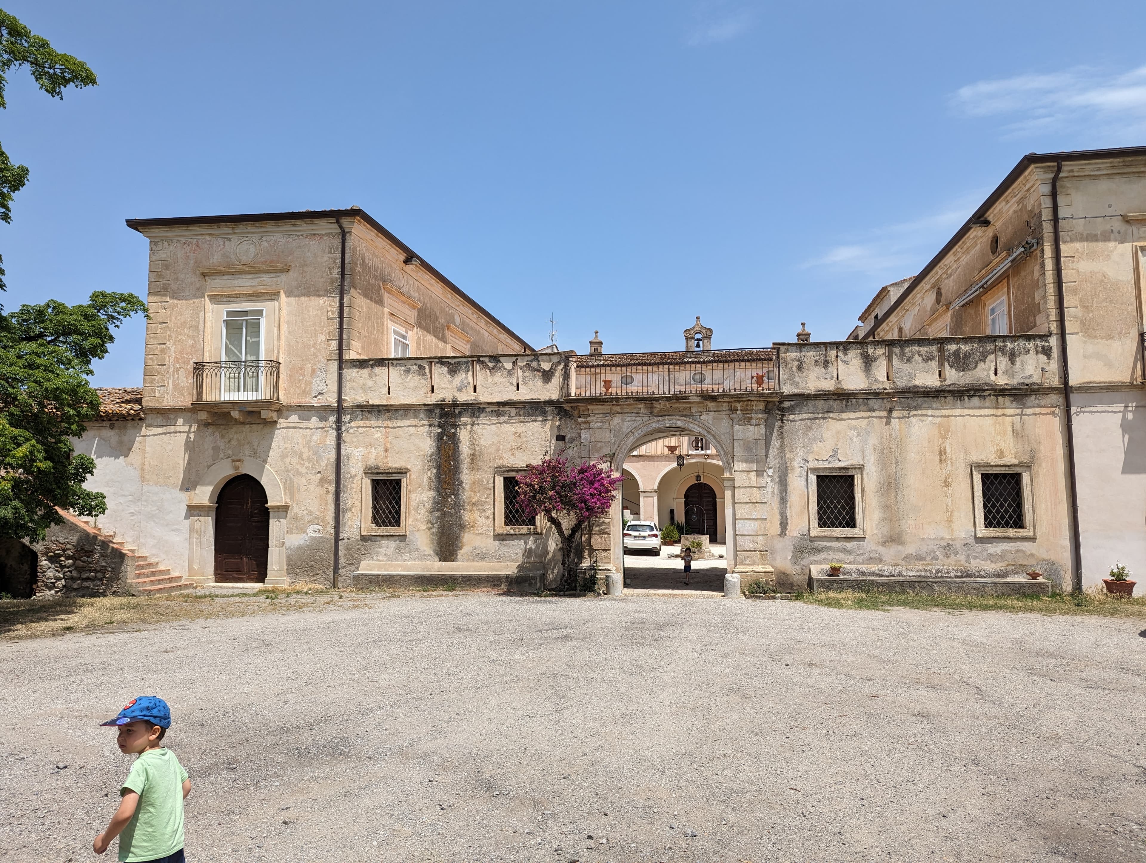 Historic citrus and olive groves surrounding the estate