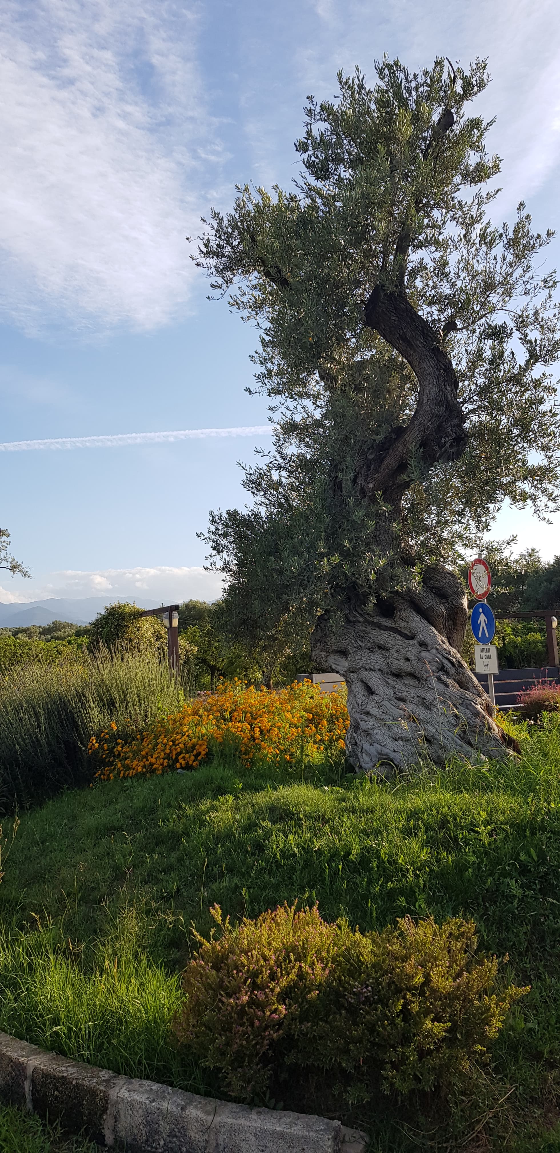 Elegantly decorated boutique hotel room at Casa Solares